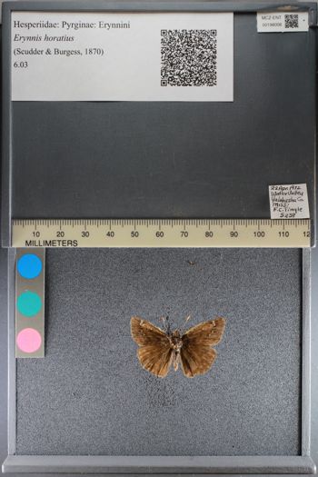 Media type: image;   Entomology 198008